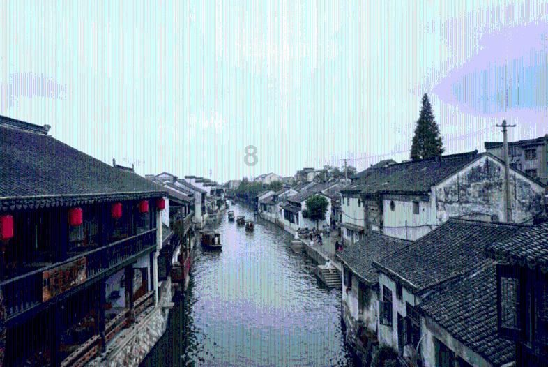 救援受困的鹭